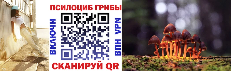 даркнет какой сайт  Щучье  Псилоцибиновые грибы Cubensis 